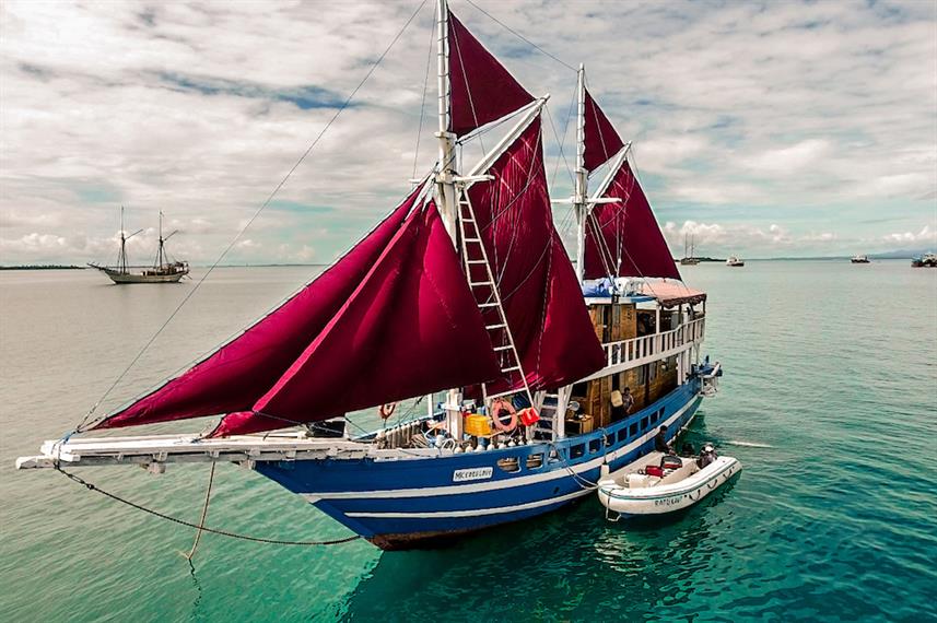 bateau-croisiere-plongee-indonesie-raja-ampat-ratu-laut
